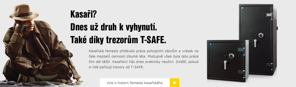 trezory-tsafe-01-1501150740.png